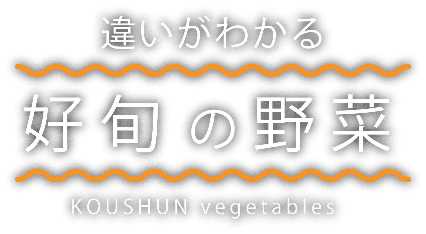 違いがわかる好 旬 の 野 菜KOUSHUN vegetables